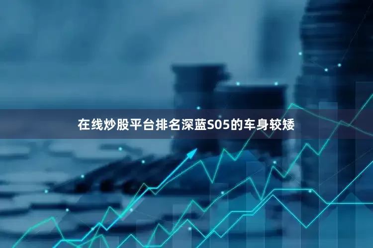 在线炒股平台排名深蓝S05的车身较矮